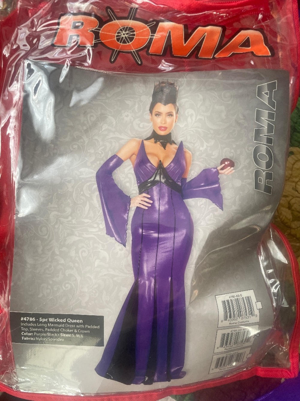 Wicked Witch Costume